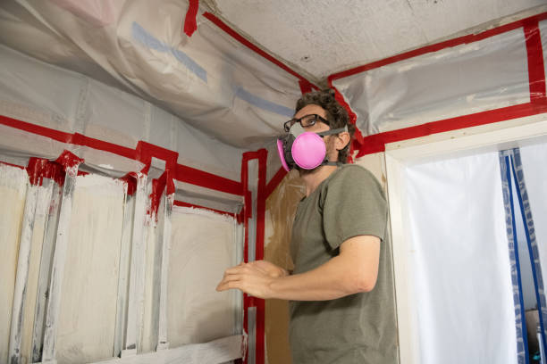Best Mold Removal for HVAC Installations  in Fair Haven, NY