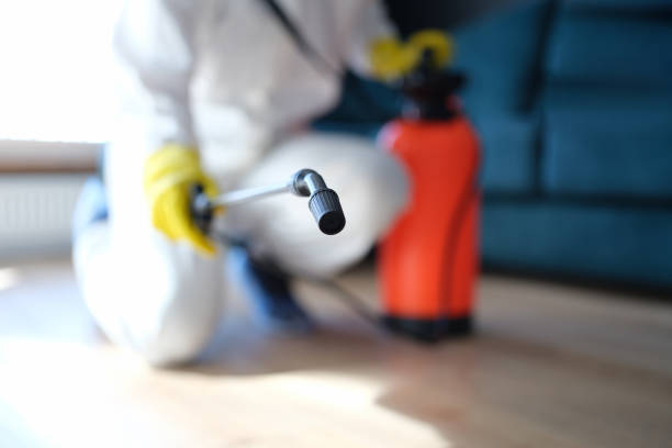 Best Airborne Mold Testing  in Fair Haven, NY